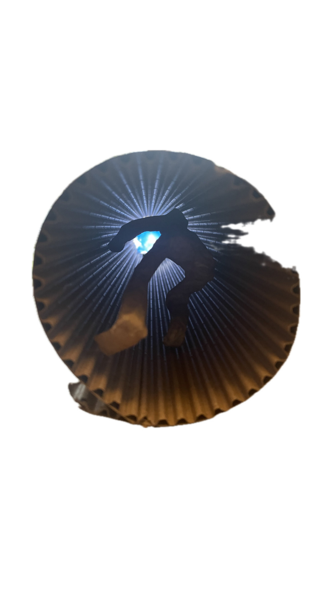 Light Catcher
